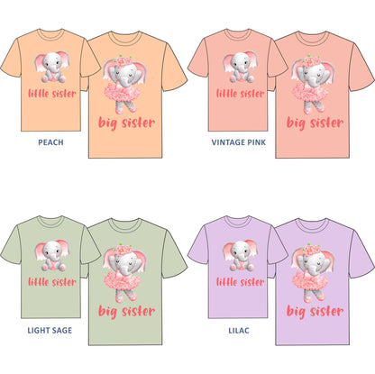 Big Sister, Little Sister T-shirt for Girls