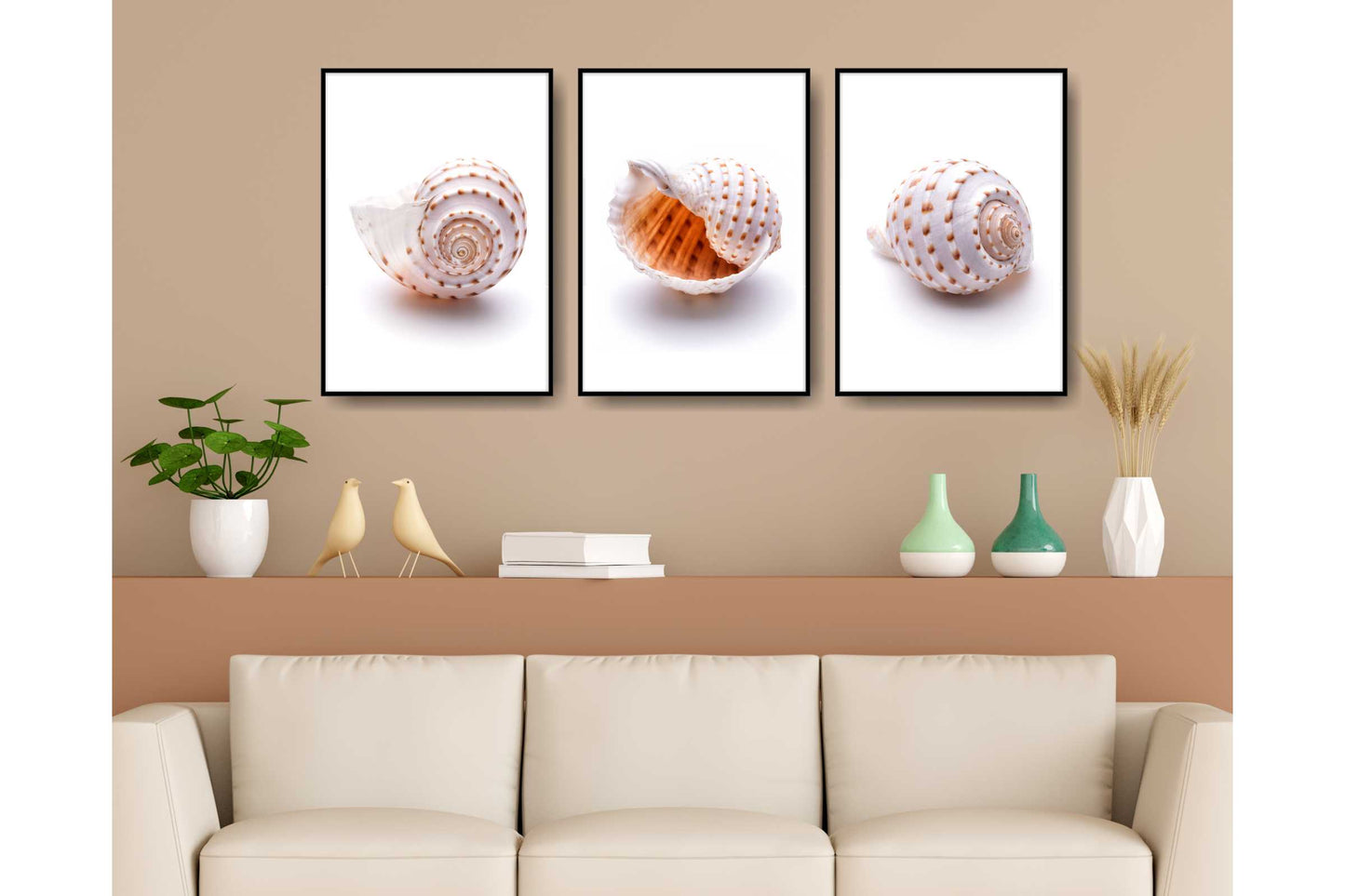 Set of 3 prints. Beach Ocean Wall Art. Sea shells. Size A4. #0250