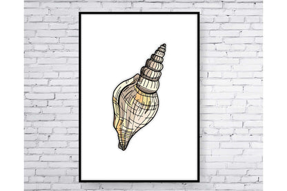 Set of 3 prints. Beach Ocean Wall Art. Sea shells drawings. Size A4. #0251