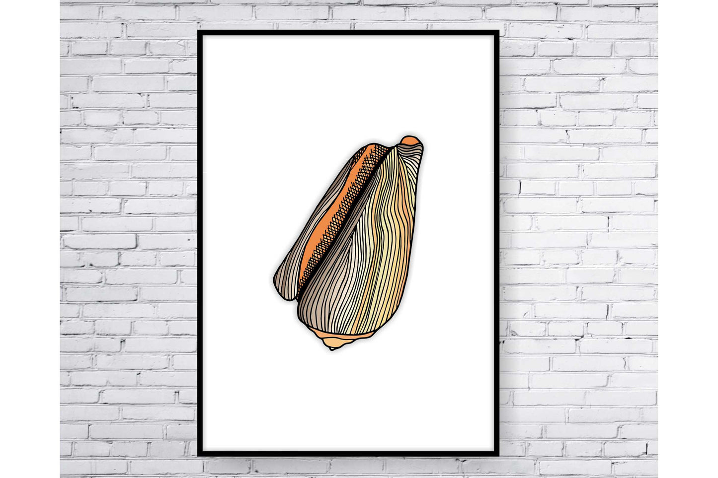 Set of 3 prints. Beach Ocean Wall Art. Sea shells drawings. Size A4. #0251