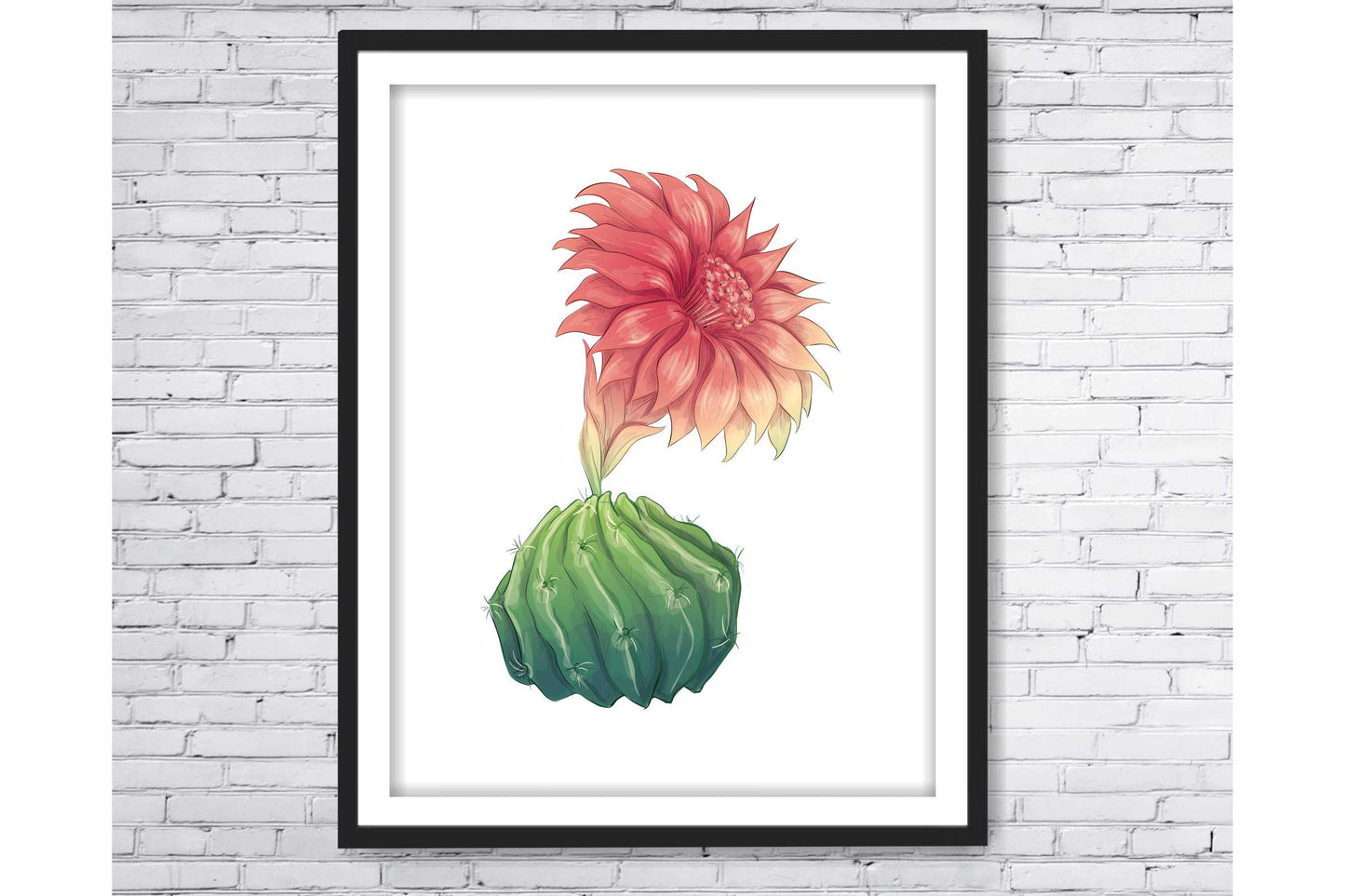 Floral and tropical floral wall art prints.