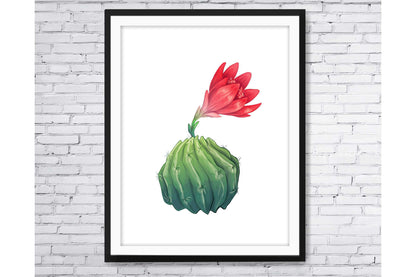 Floral and tropical floral wall art prints.