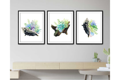 Floral and tropical floral wall art prints.