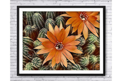 Floral and tropical floral wall art prints.