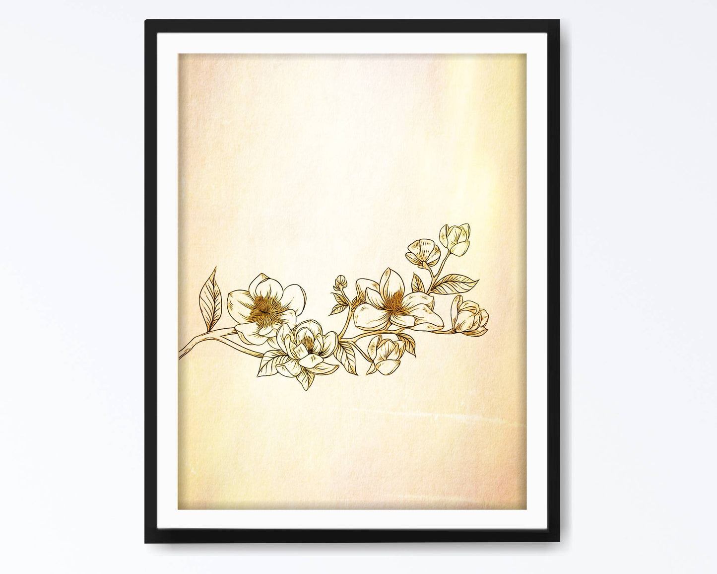 Floral and tropical wall art. Floral and tropical wall prints