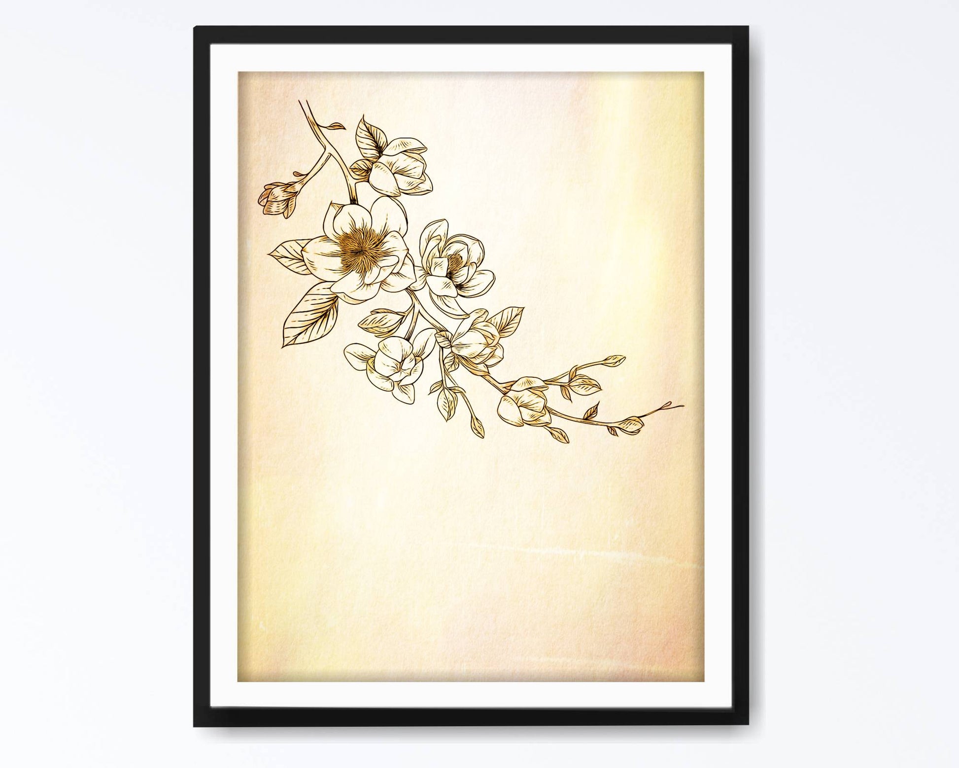 Floral and tropical wall art. Floral and tropical wall prints