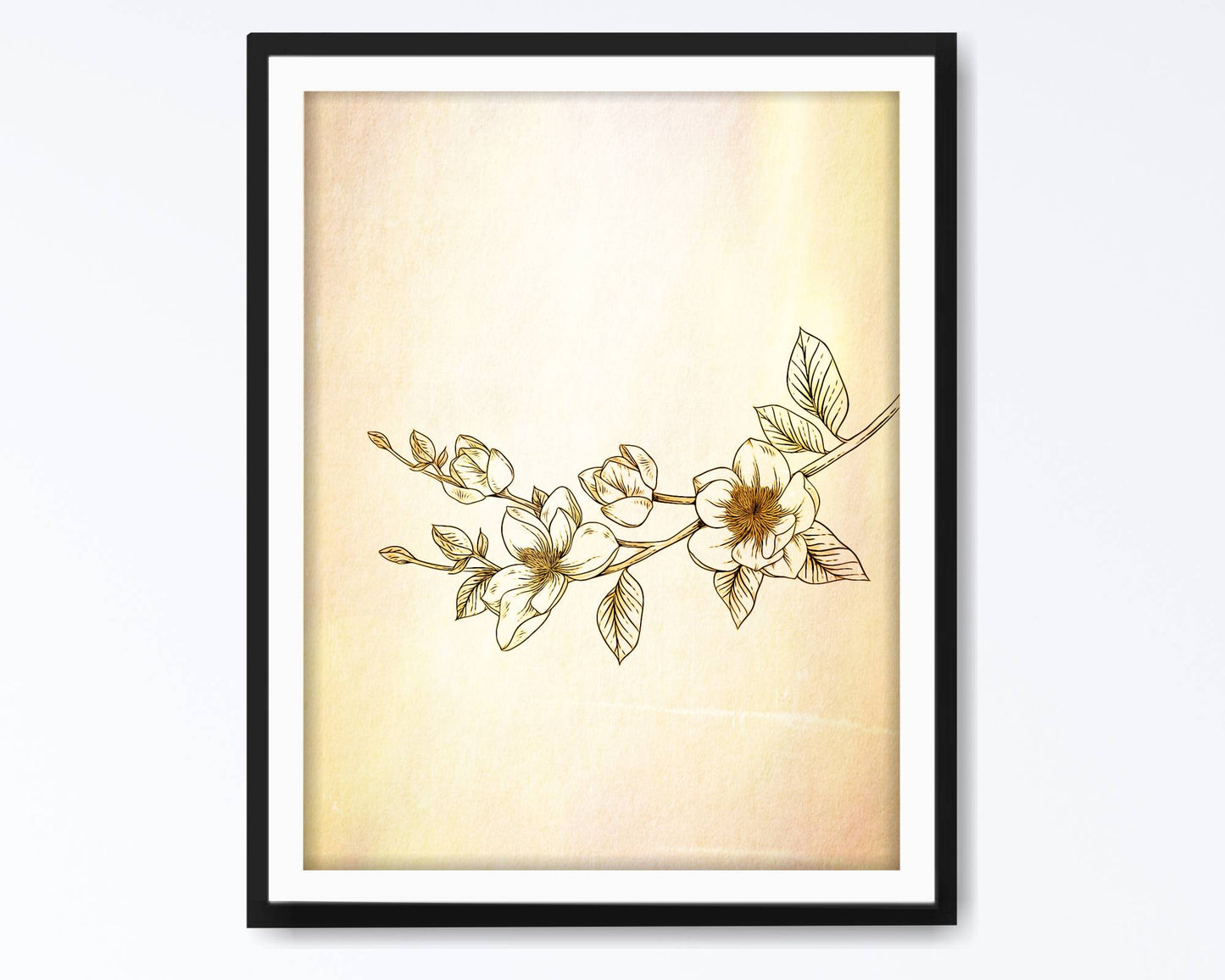 Floral and tropical wall art. Floral and tropical wall prints