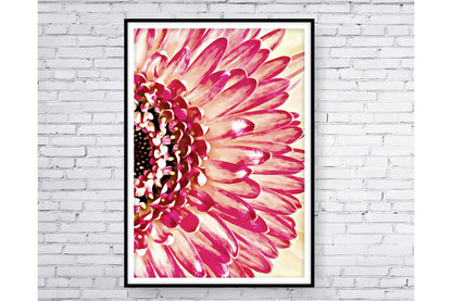 Floral and tropical wall art. Floral and tropical wall prints. Size A4, A3, A2. Sublimation