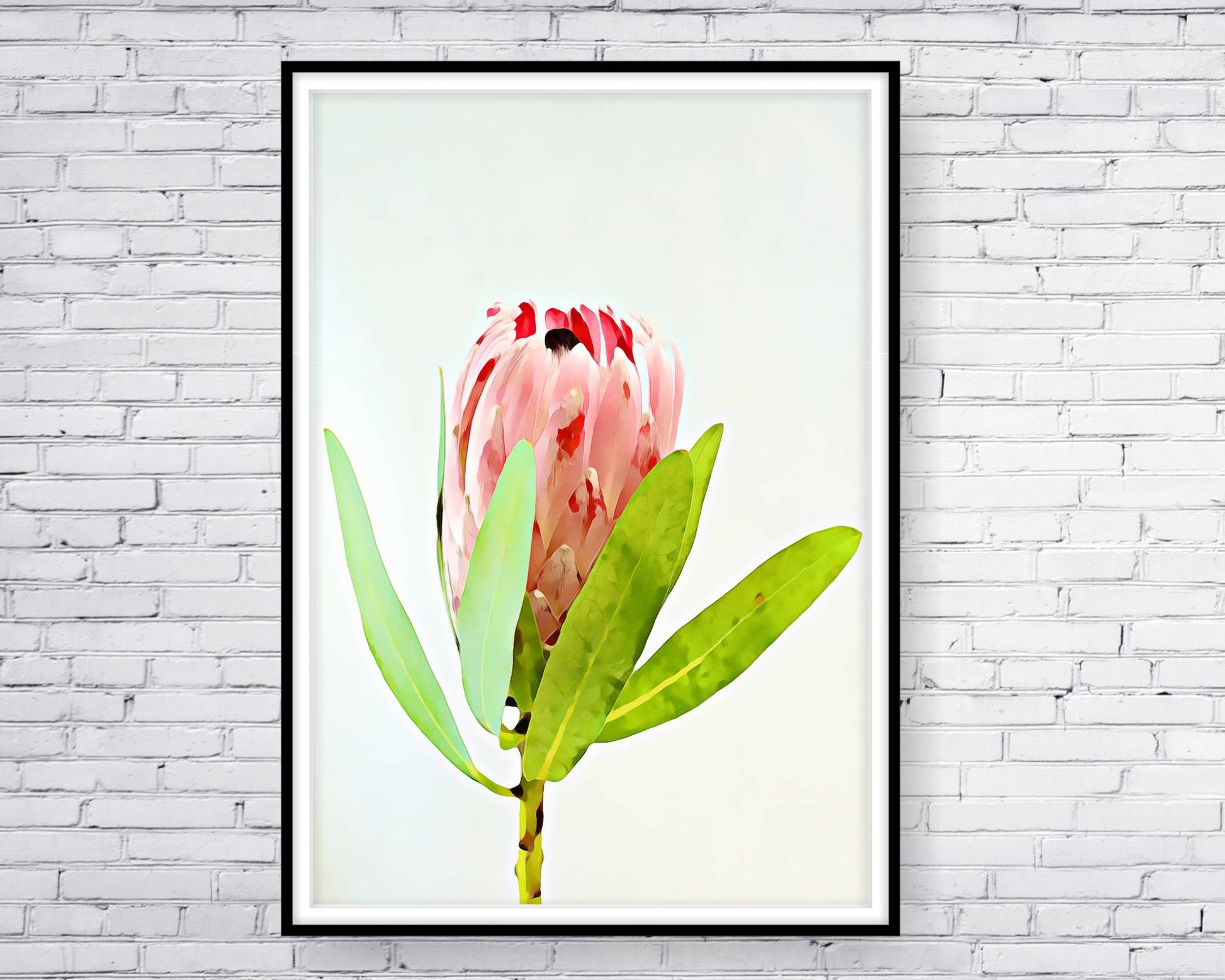 loral and tropical floral wall art. Watercolour Floral and tropical floral prints.