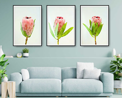 loral and tropical floral wall art. Watercolour Floral and tropical floral prints.