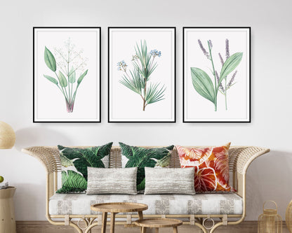 Floral and tropical wall art. Floral and tropical wall prints