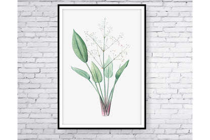 Floral and tropical wall art. Floral and tropical wall prints