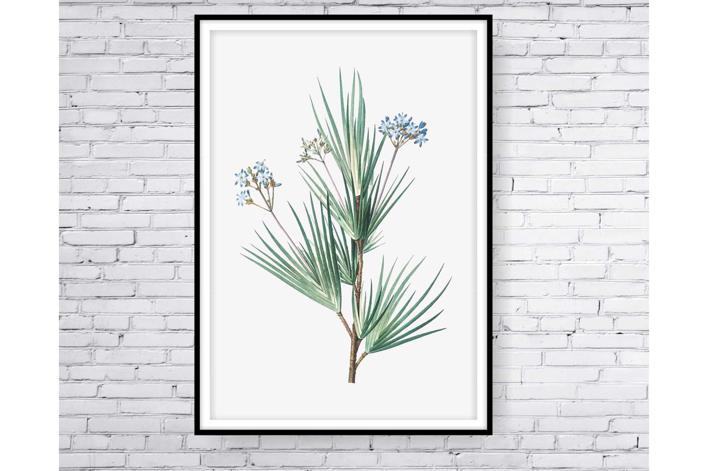 Floral and tropical wall art. Floral and tropical wall prints