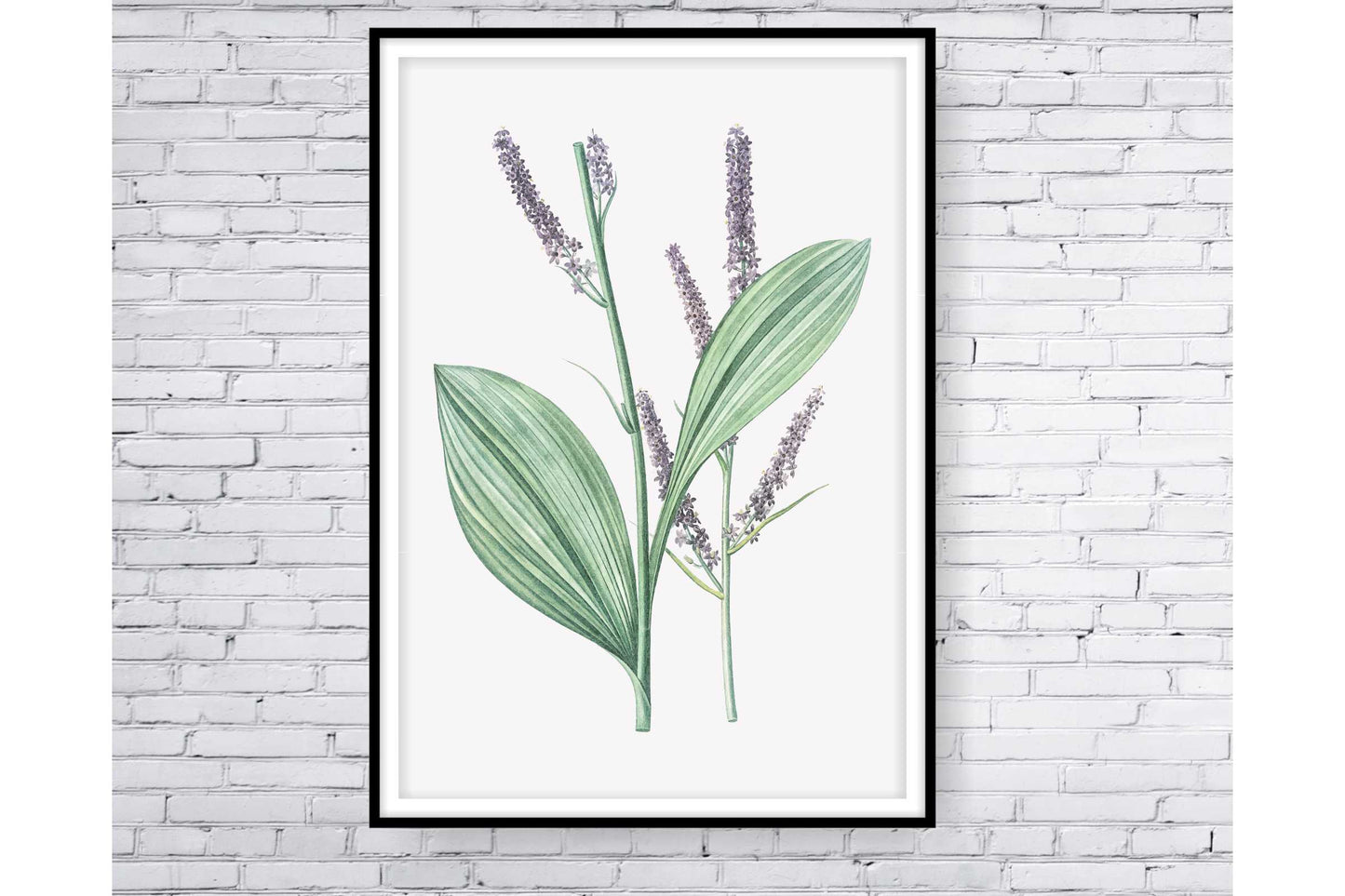 Floral and tropical wall art. Floral and tropical wall prints