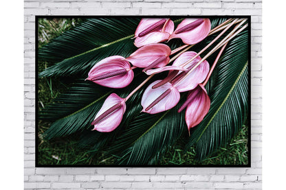 Floral and tropical wall art. Floral and tropical wall prints