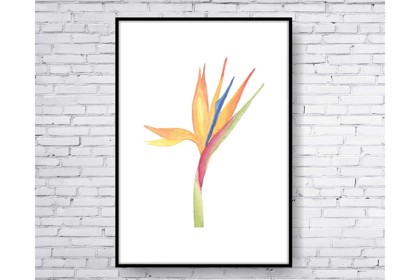 loral and tropical floral wall art. Watercolour Floral and tropical floral prints.