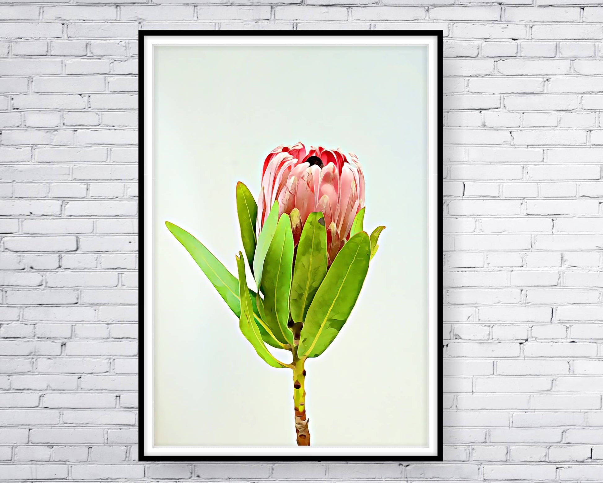 loral and tropical floral wall art. Watercolour Floral and tropical floral prints.