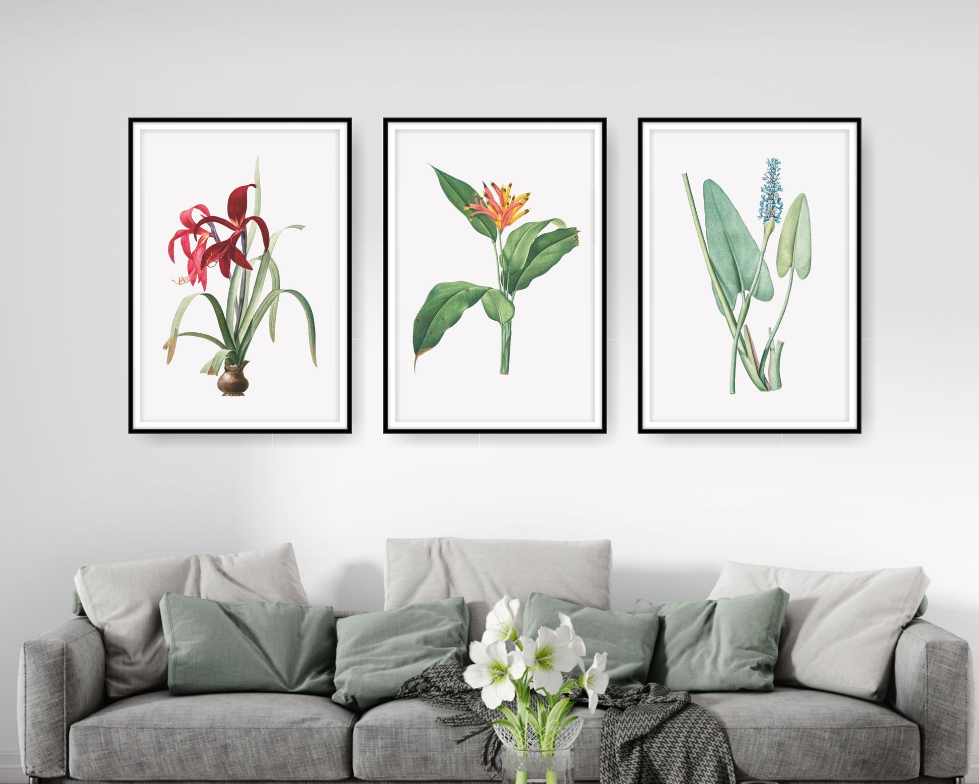 loral and tropical floral wall art. Watercolour Floral and tropical floral prints.